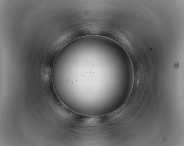 X0000091080122200708061344