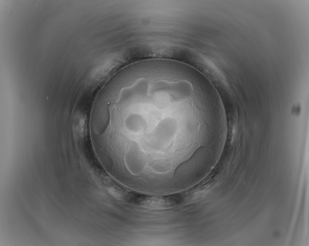 X0000091080123200708061344