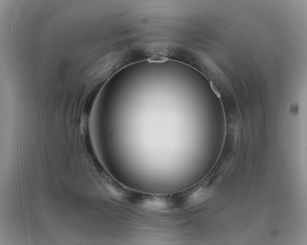 X0000091080125200708061344