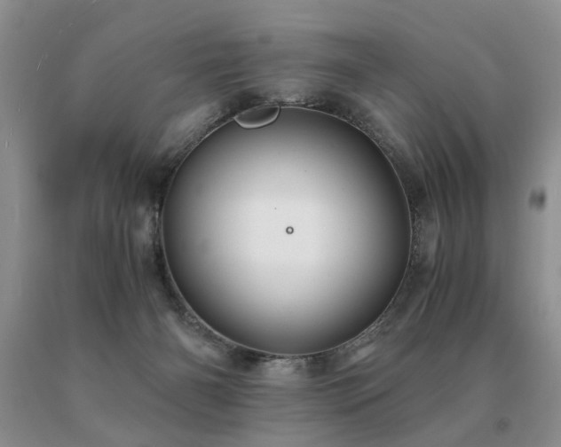 X0000091080126200708061344