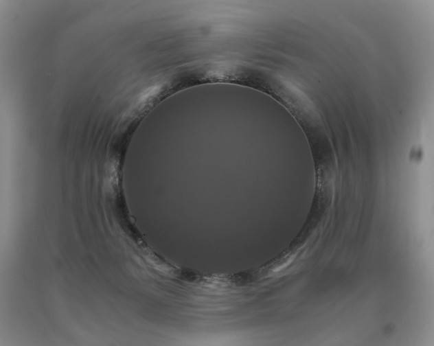 X0000091080127200708061344