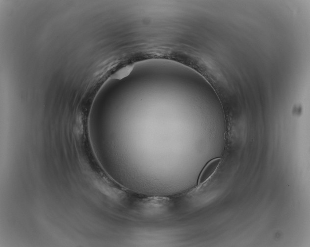 X0000091080128200708061344