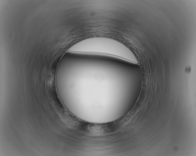 X0000091080129200708061344