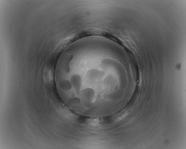 X0000091080131200708061344