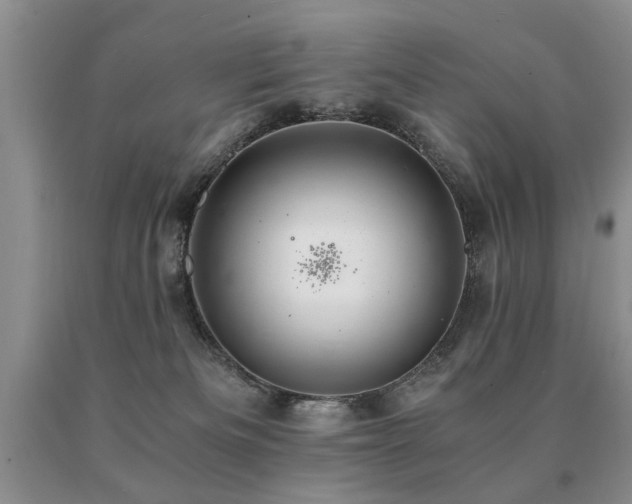 X0000091080133200708061344