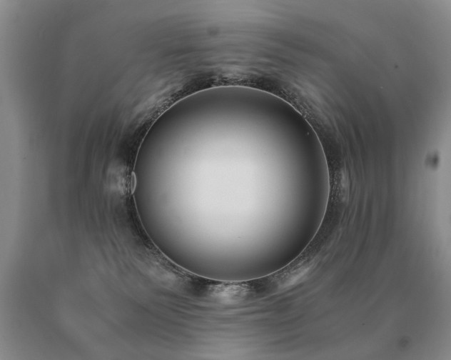 X0000091080135200708061344