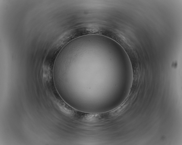 X0000091080136200708061344