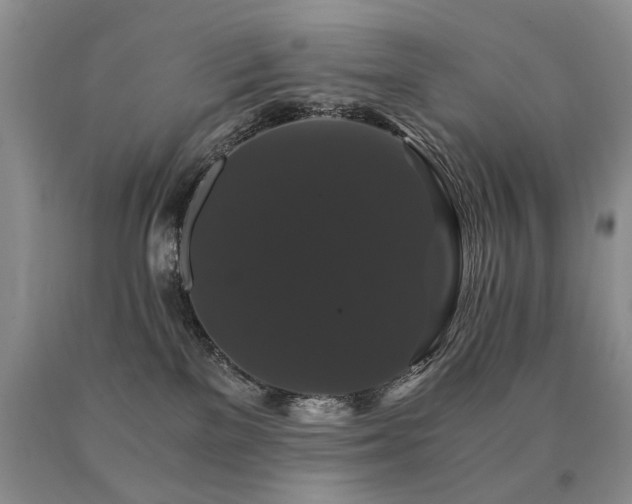 X0000091080137200708061344