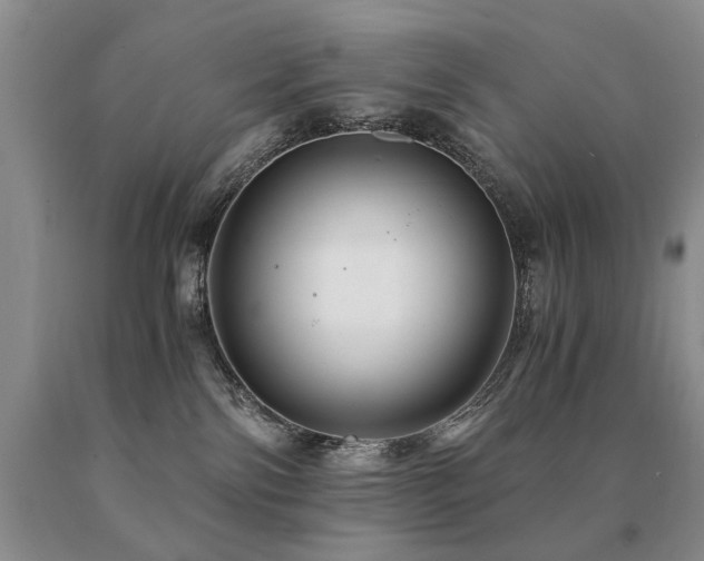 X0000091080138200708061344