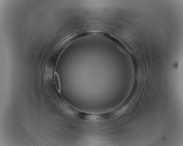 X0000091080139200708061344