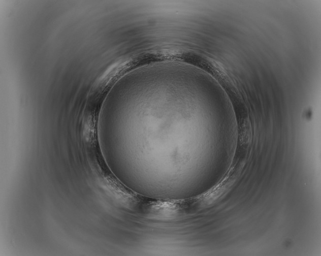 X0000091080140200708061344