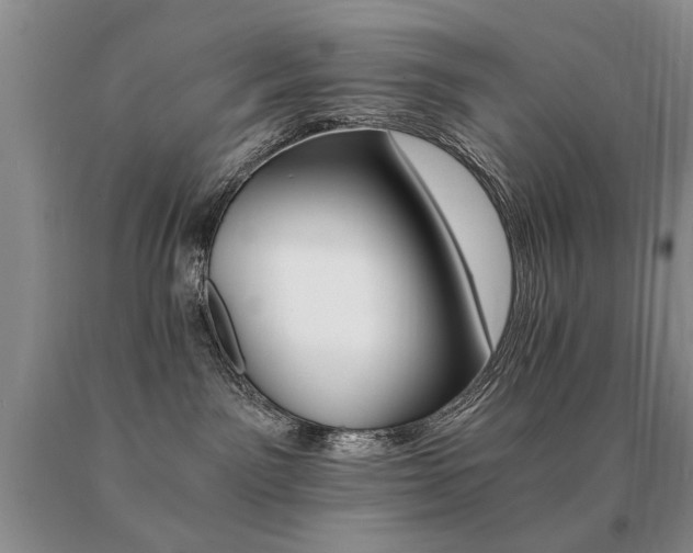 X0000091080141200708061344