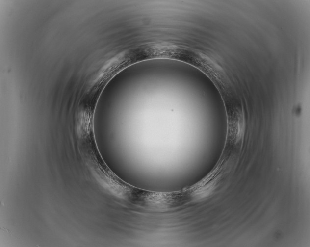 X0000091080142200708061344