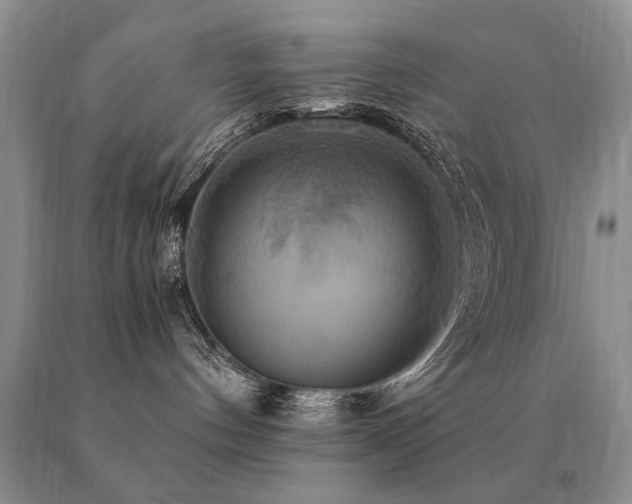 X0000091080144200708061344