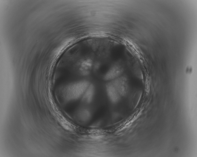 X0000091080145200708061344