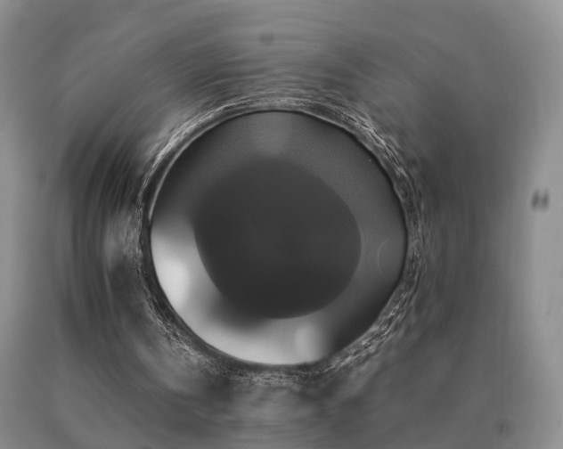 X0000091080146200708061344