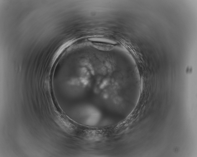 X0000091080147200708061344