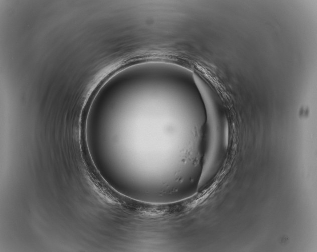 X0000091080148200708061344