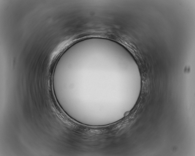 X0000091080149200708061344