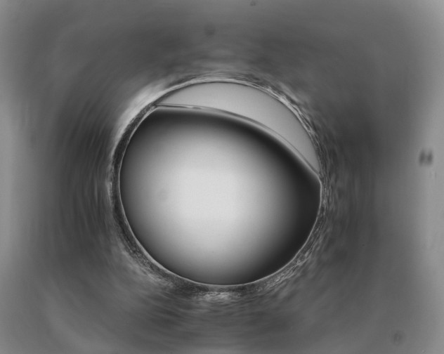 X0000091080152200708061344