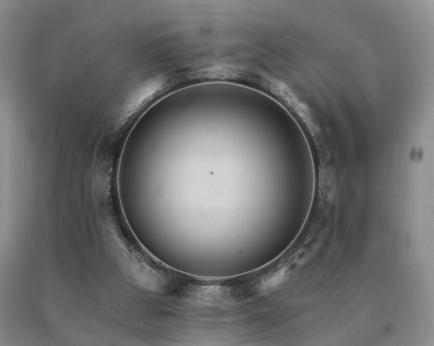 X0000091080153200708061344