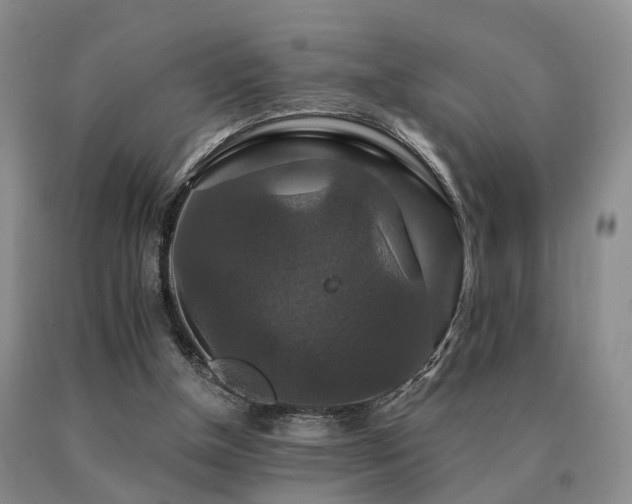 X0000091080154200708061344