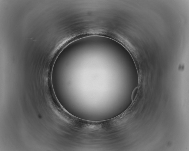 X0000091080155200708061344