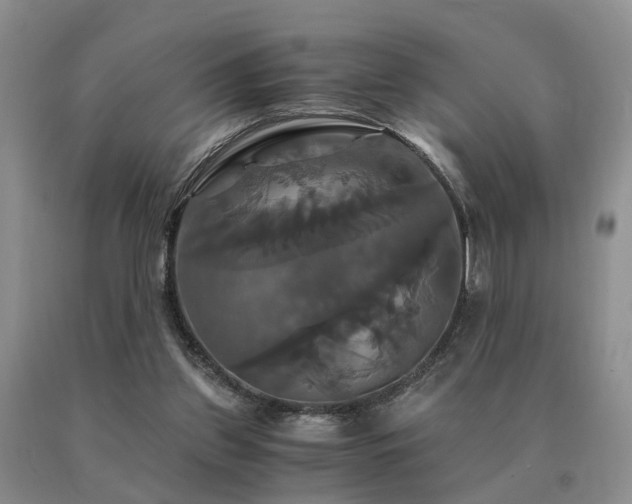 X0000091080157200708061344