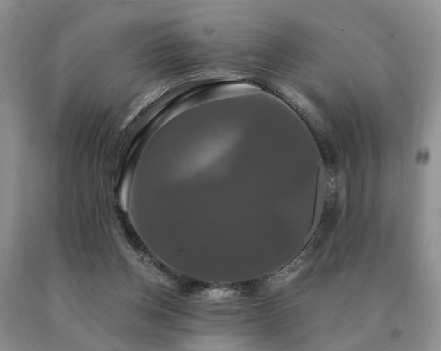 X0000091080158200708061344