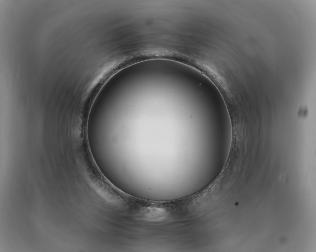 X0000091080159200708061344