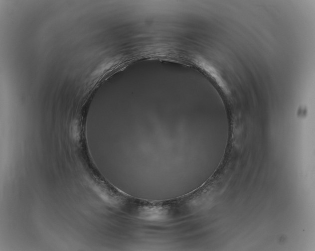 X0000091080161200708061344