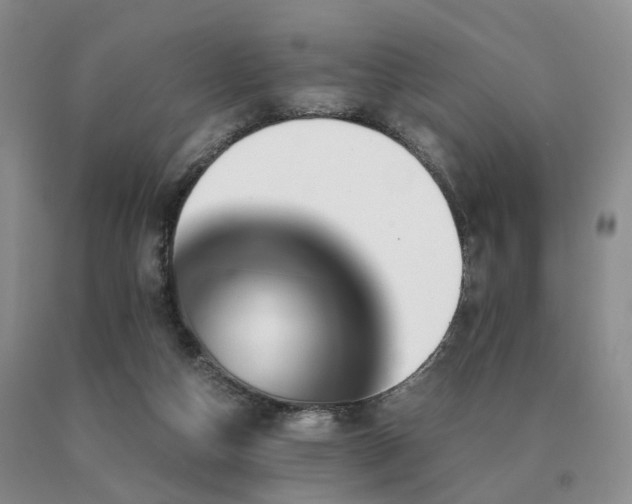 X0000091080162200708061344