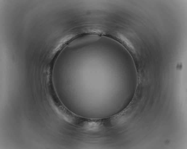 X0000091080163200708061344