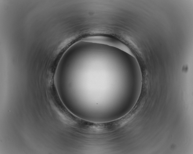 X0000091080164200708061344