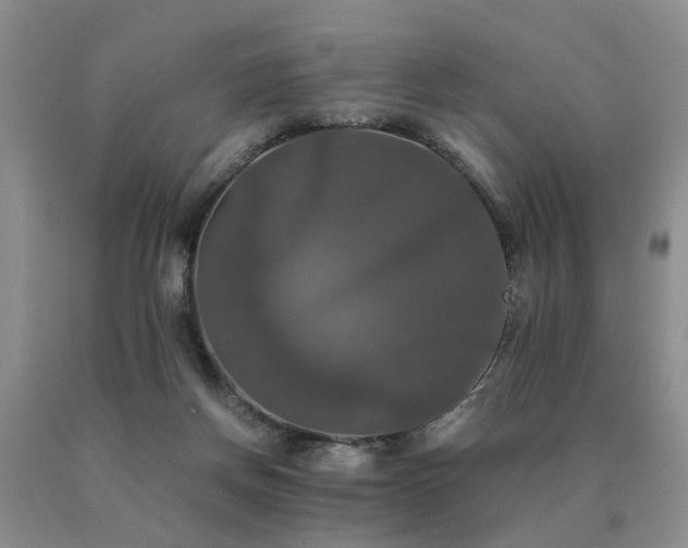 X0000091080166200708061344