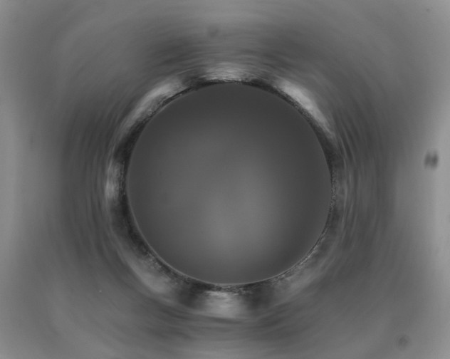 X0000091080167200708061344