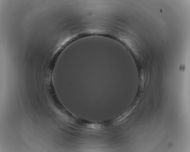 X0000091080168200708061344