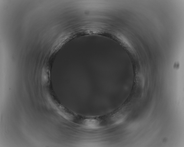 X0000091080169200708061344