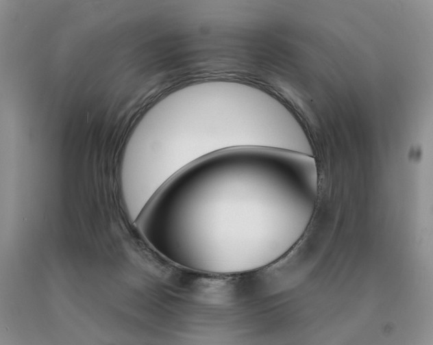 X0000091080170200708061344