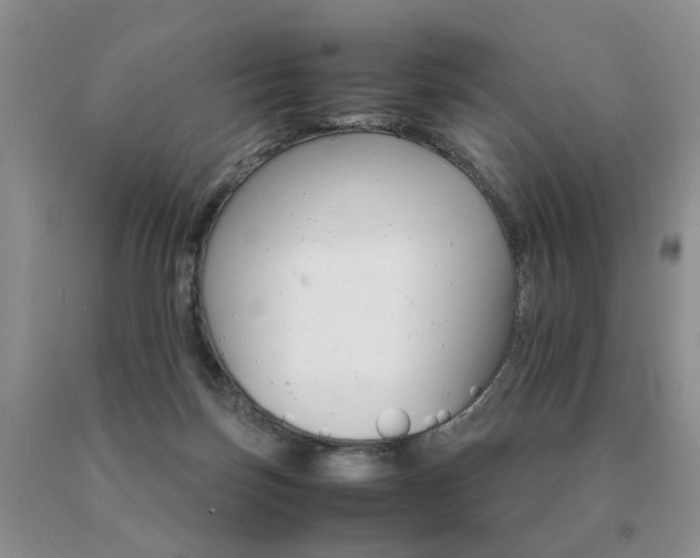 X0000091080171200708061344