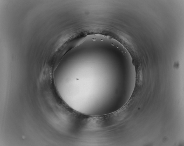 X0000091080172200708061344