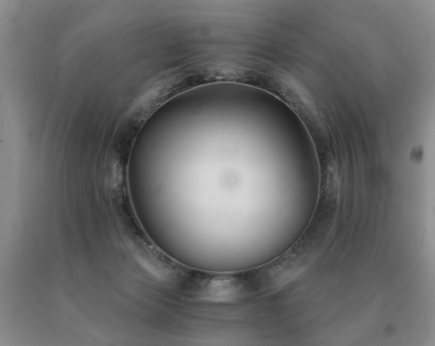 X0000091080173200708061344