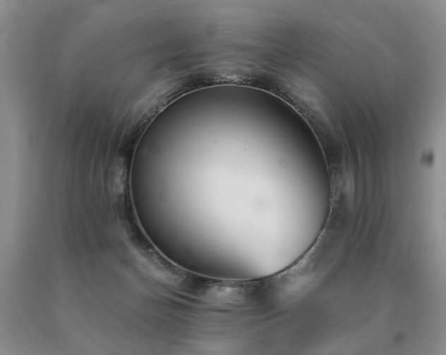 X0000091080174200708061344