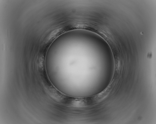 X0000091080175200708061344