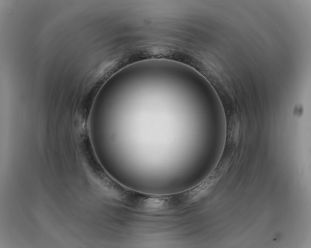 X0000091080176200708061344