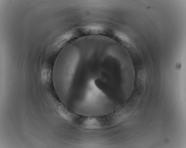 X0000091080177200708061344