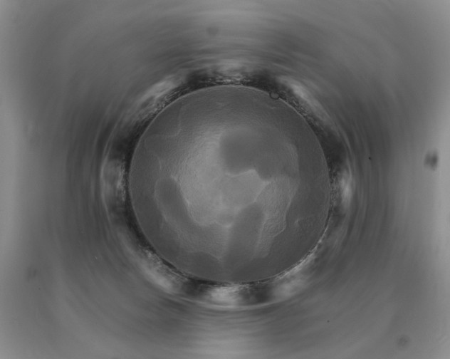 X0000091080178200708061344