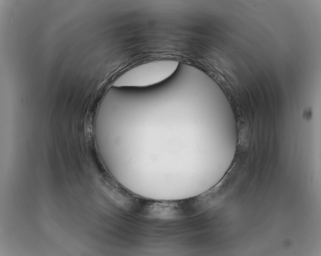 X0000091080179200708061344