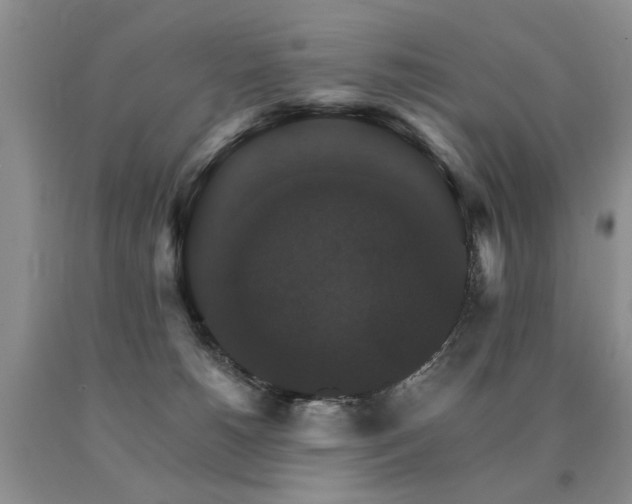 X0000091080180200708061344