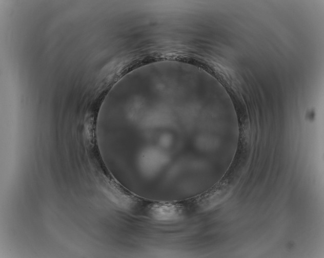 X0000091080181200708061344